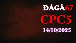 Clip gà chọi trực tiếp C5 full HD ngày 14/10/2025