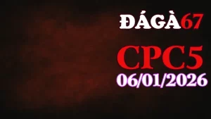 Video trực tiếp đá gà CPC5 ngày 06012026 phát sóng hôm nay