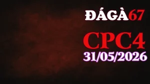 Clip đá gà Thomo CPC4 ngày 31052026 hôm nay