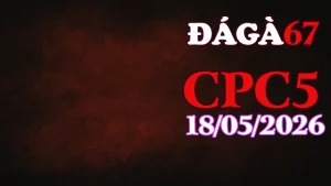 Clip trực tiếp đá gà CPC5 ngày 18052026