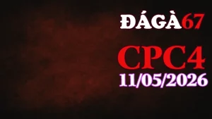 Video trực tiếp đá gà CPC4 ngày 11052026