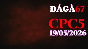Video trực tiếp đá gà thomo CPC5 ngày 19052026
